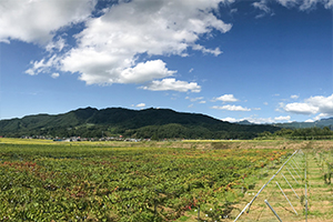 ウッディファーム＆ワイナリー ランチ付スペシャルツアー