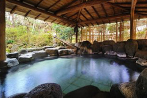 かみのやま温泉『仙渓園 月岡ホテル』