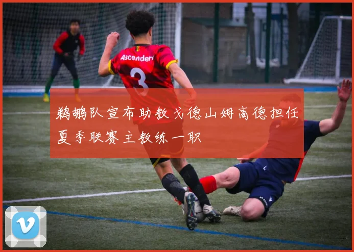 鹈鹕队宣布助教戈德山姆高德担任夏季联赛主教练一职